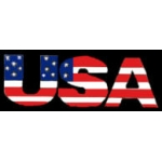 UNITED STATES USA FLAG SCRIPT PIN